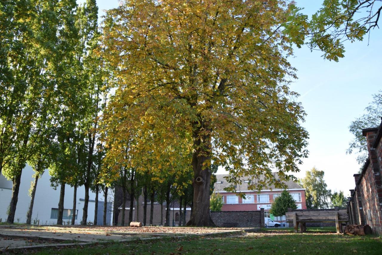 Vila Cacele Raveelzicht Zulte Exteriér fotografie
